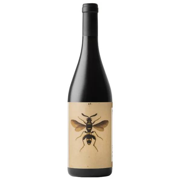 2019 Il Sangiovese Romagna DOC