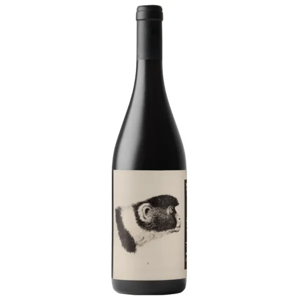 2019 Godenza Romagna Sangiovese Superiore DOC
